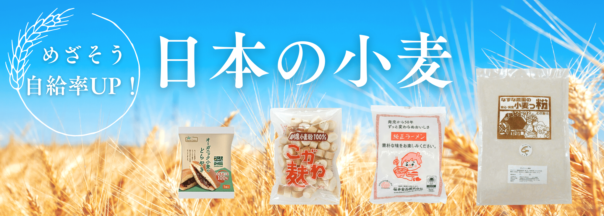 日本の小麦