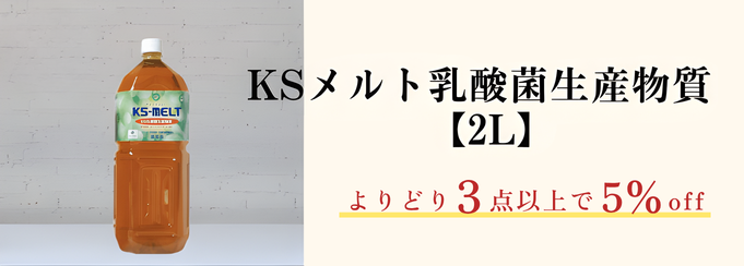 KS2L