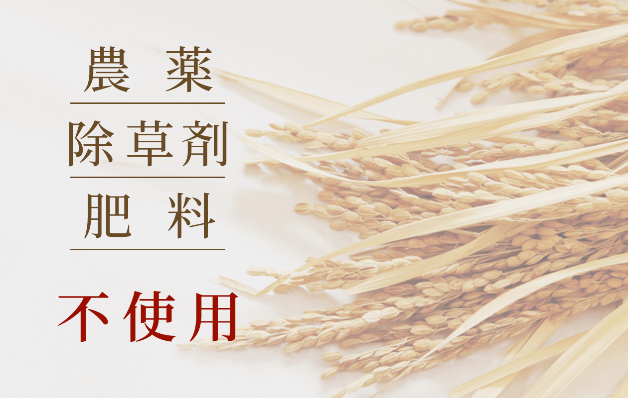 ご予約受付中】令和5年産 おかやま自然栽培玄米「朝日」【5㎏】 ※12/7