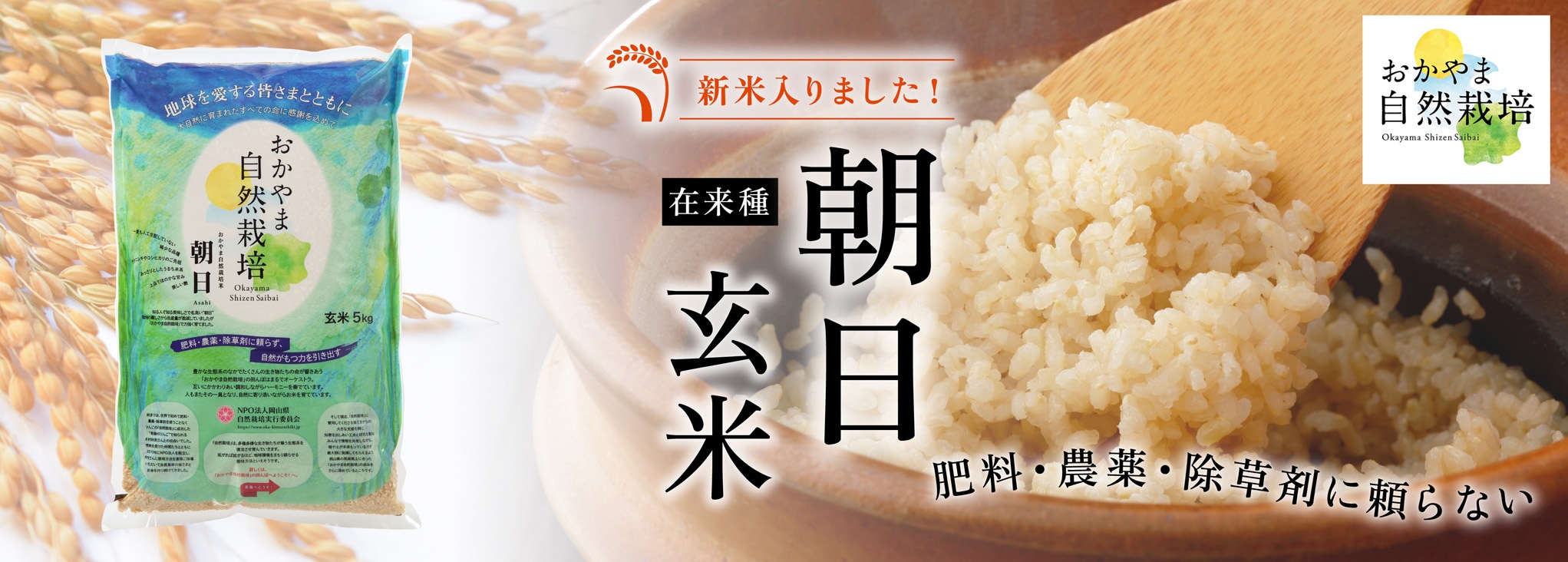 岡山県産 幻の朝日米 令和5年産玄米10キロ - 米・雑穀・粉類