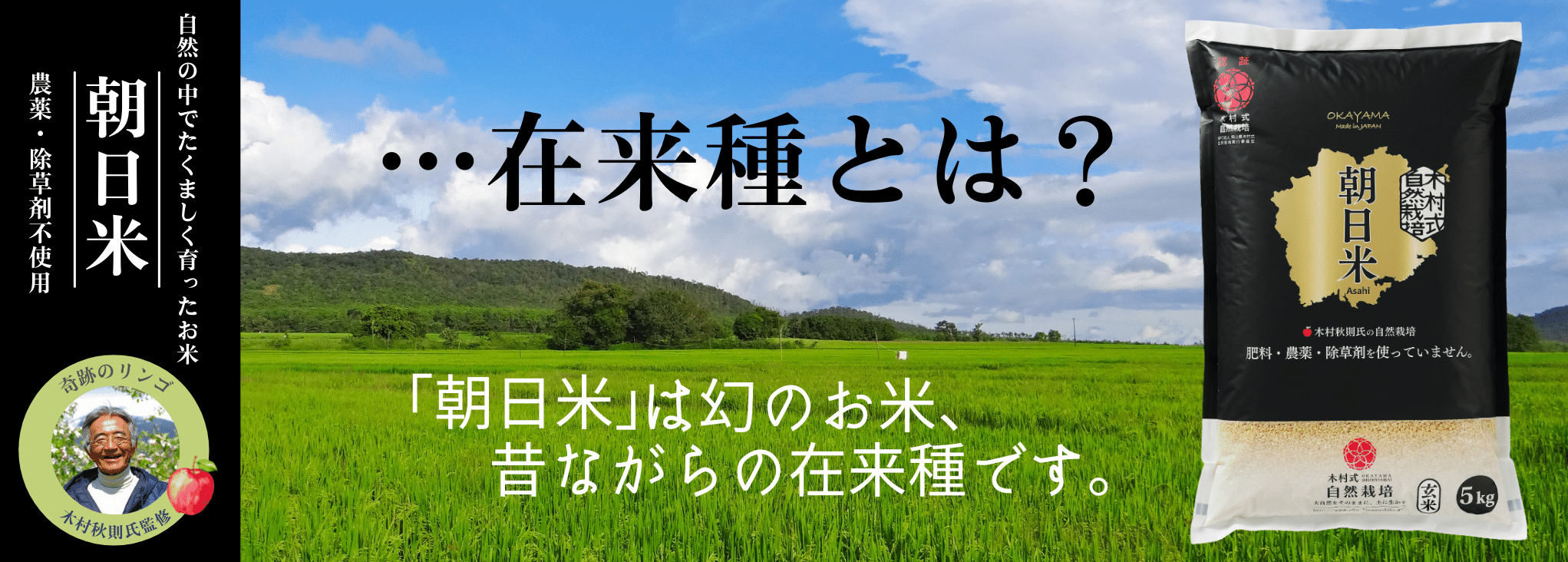自然栽培 朝日米 10kg小袋×4 R4年 玄米 在来種 農薬不使用 肥料不使用