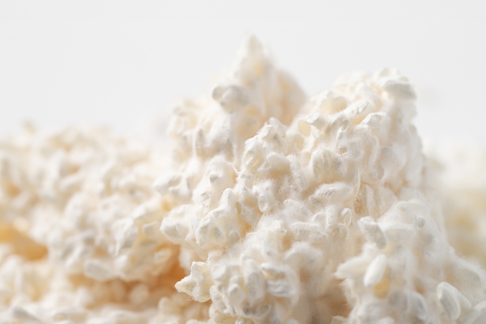 まいにち酵素生活 糀パウダー