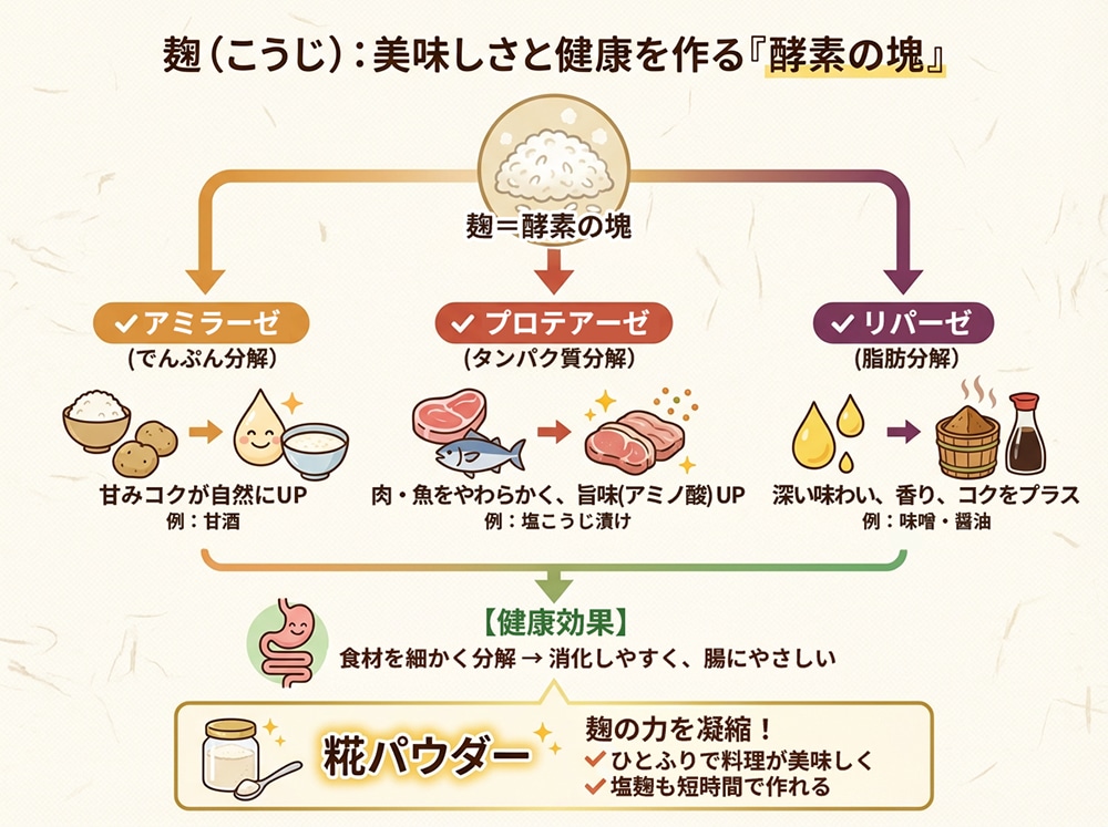 まいにち酵素生活 糀パウダー