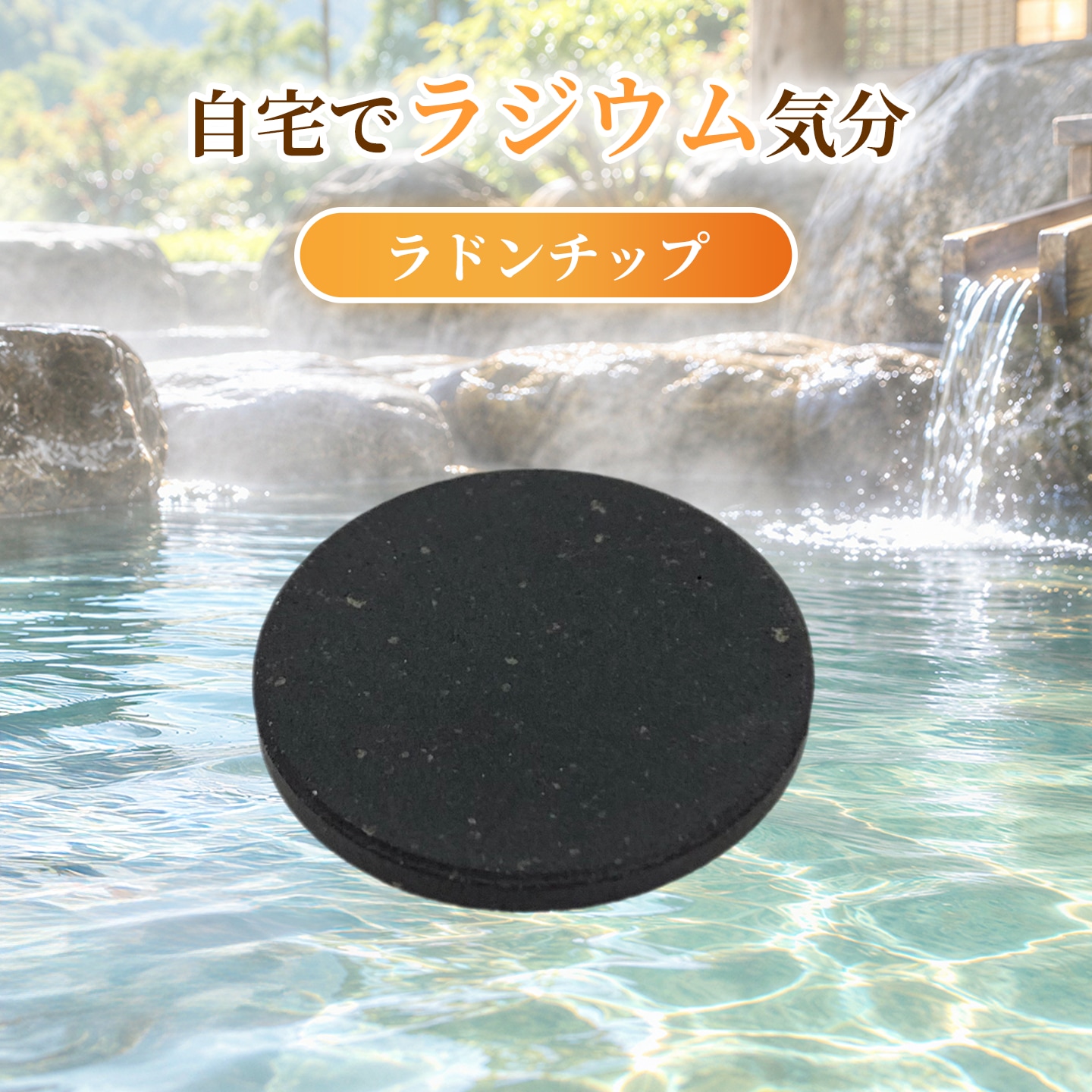samune-chip.jpg