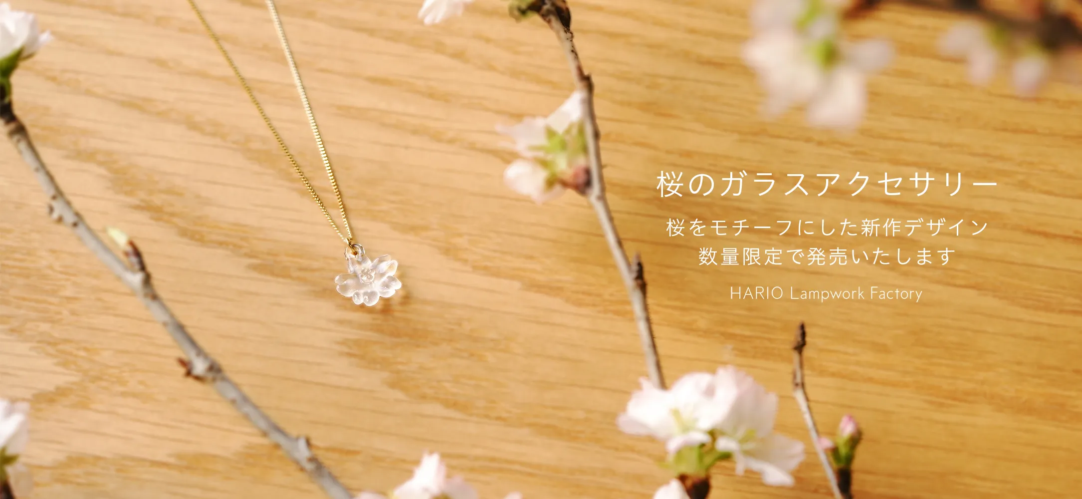 SAKURA 2025
