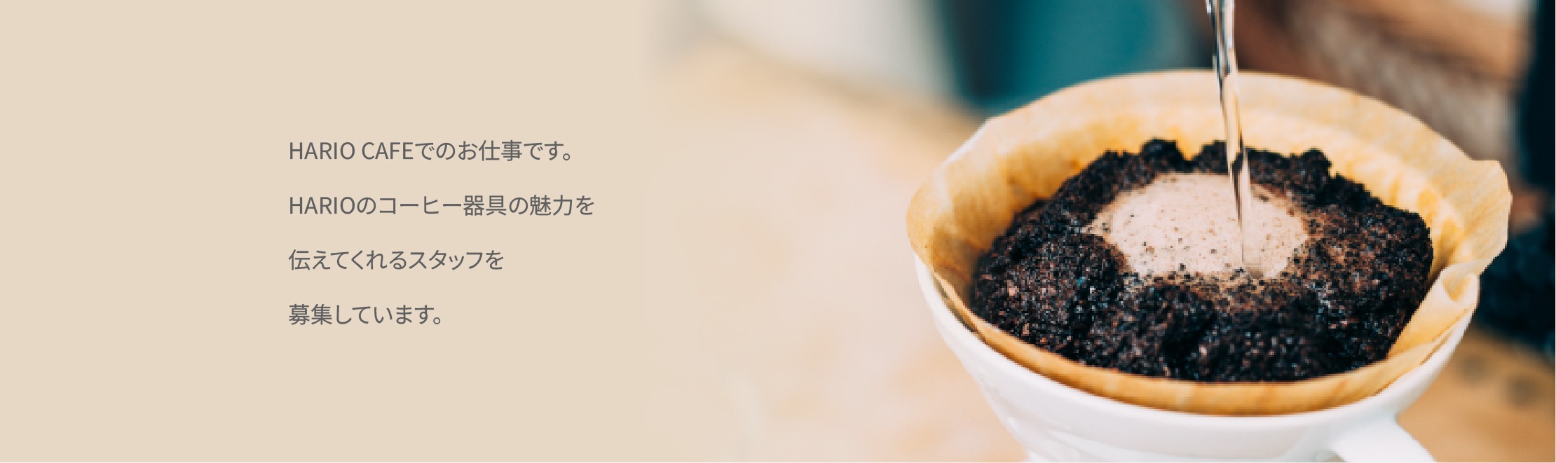 HARIO CAFEでのお仕事です。HARIOのコーヒー器具の魅力を伝えてくれるスタッフを募集しています。