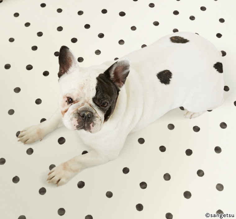 サンゲツ クッションフロア Cf Hm 4116 Hm 4117 夏水組 Hfloor 18 壁 床 窓のdiyリフォームなら ハロハロ