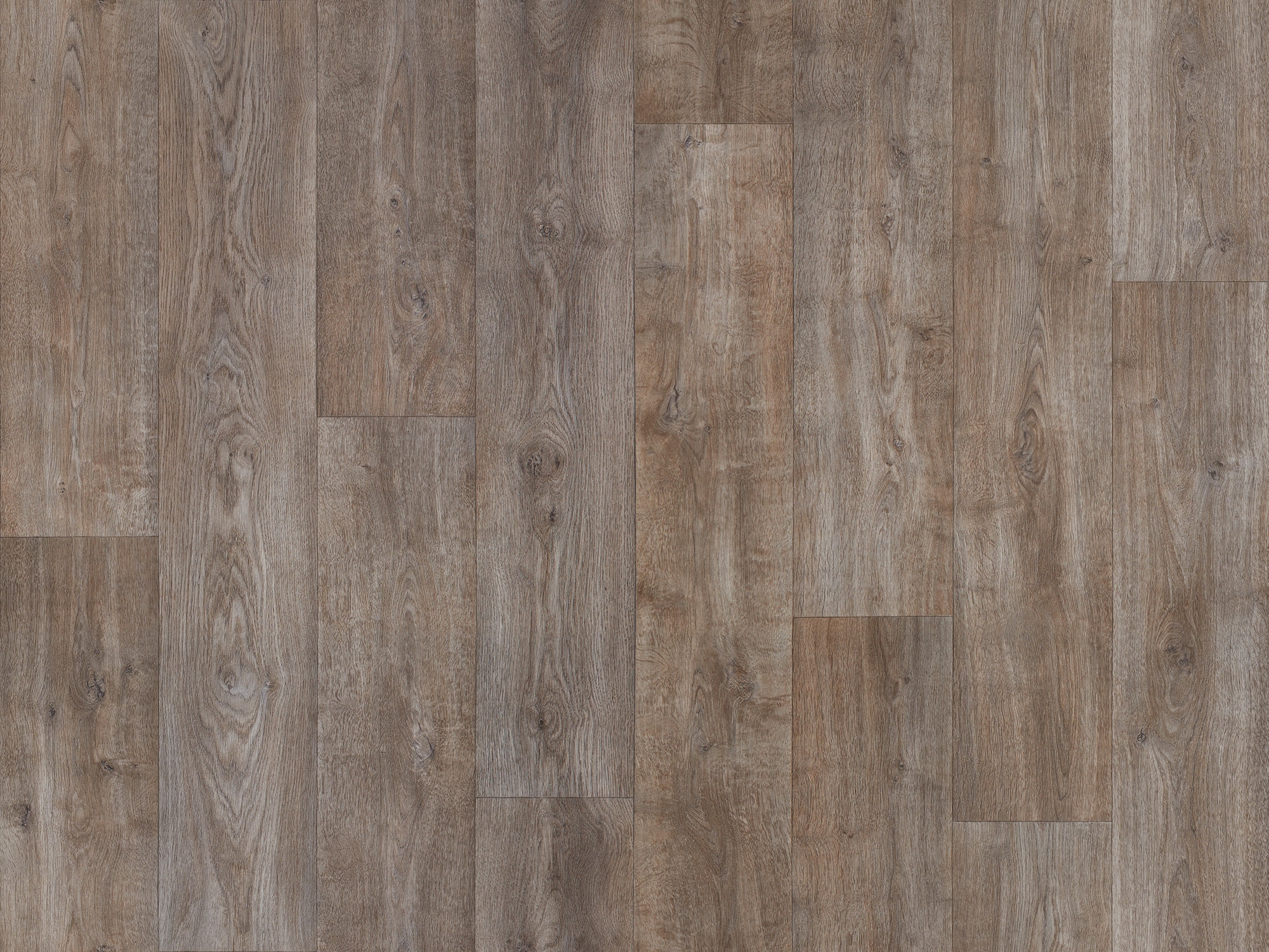 サンゲツ CM12269のチップ画像