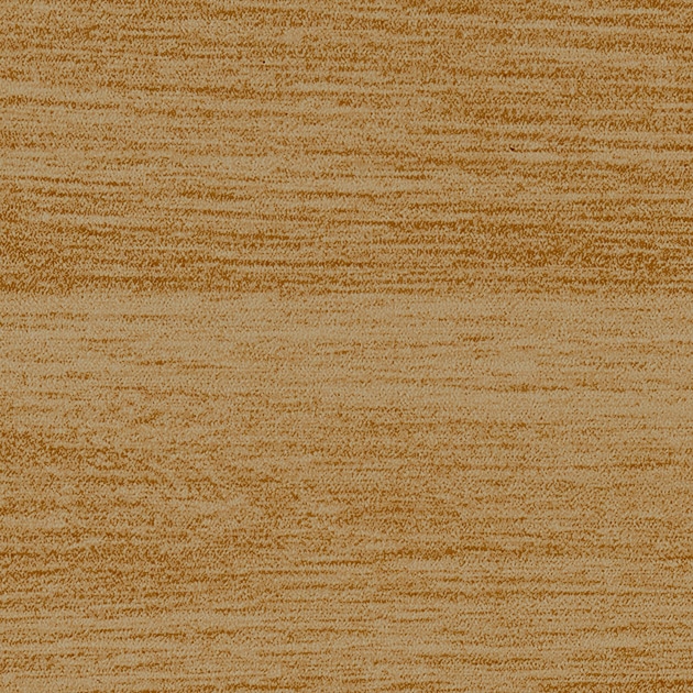 PX219S_C01