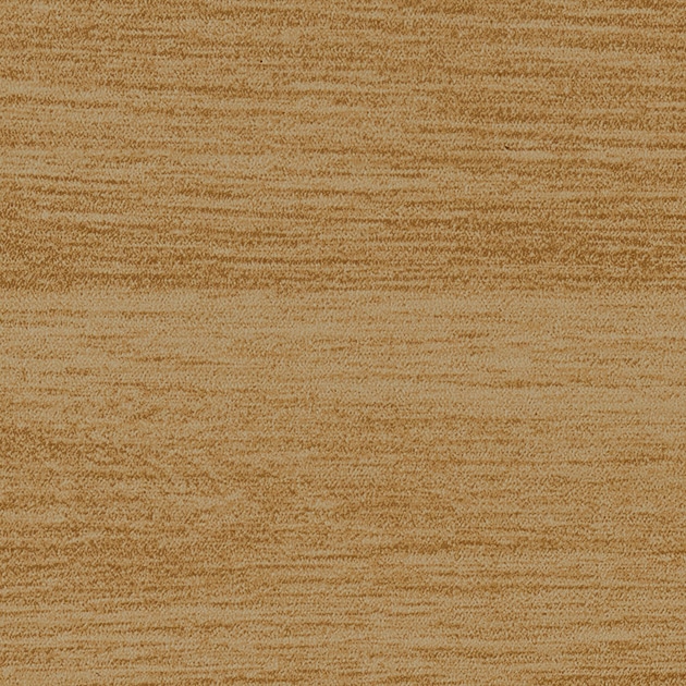 PX219W_C01