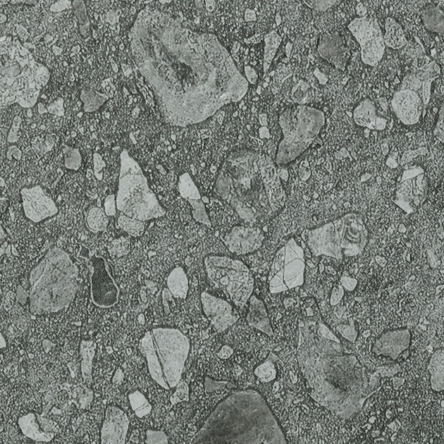 PM24346_C01