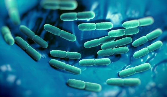 ダニスコ社は、世界最大級の菌保有数を誇り、食品に使用される乳酸菌の科学的な研究を進めています。
