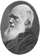 「種の起源」で有名な生物学者のチャールズ・ダーウィン