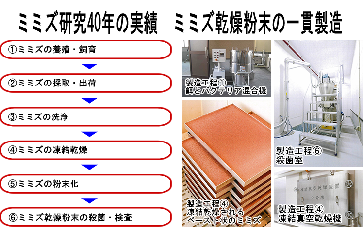 低価格の フルネスミミズ乾燥粉末含有食品 mt.realt.by