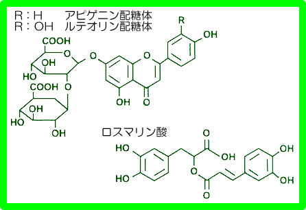 アピゲニン配糖体、ルテオリン配糖体、ロスマリン酸、組成図
