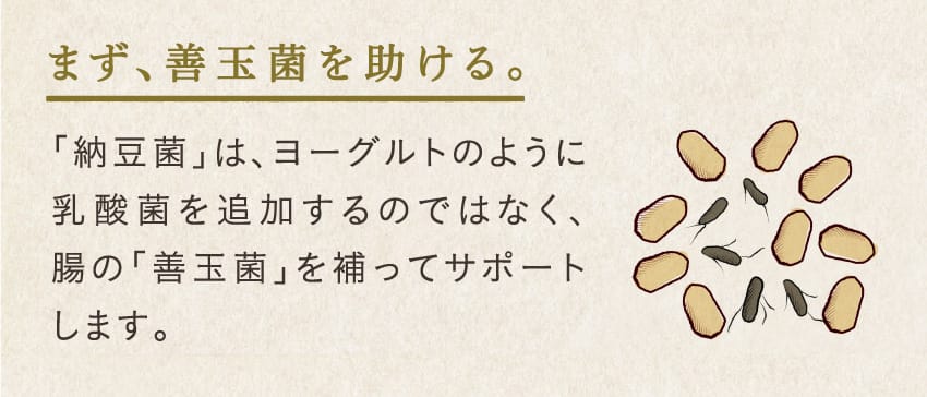 まず、善玉菌を助ける。納豆菌は、ヨーグルトのように乳酸菌を追加するのではなく、腸の善玉菌を補ってサポートします。