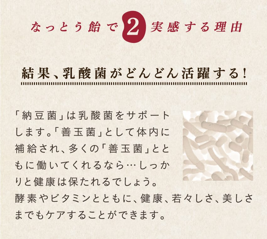 結果、乳酸菌がどんどん活躍する！「「納豆菌」は乳酸菌をサポートします。「善玉菌」として体内に補給され、多くの「善玉菌」とともに働いてくれるなら…しっかりと健康は保たれるでしょう。酵素やビタミンとともに、健康、若々しさ、美しさまでもケアすることができます。