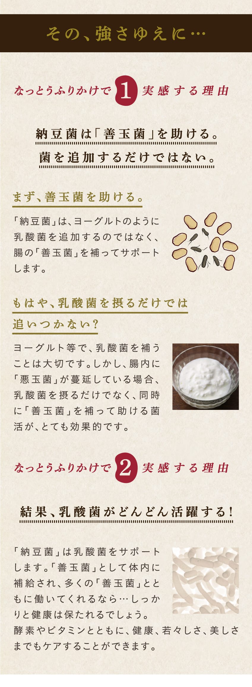 その、強さゆえに…納豆菌は「善玉菌」を助ける。菌を追加するだけではない。まず、善玉菌を助ける。「納豆菌」は、ヨーグルトのように乳酸菌を追加するのではなく、腸の「善玉菌」を補ってサポートします。もはや、乳酸菌を摂るだけでは追いつかない？ヨーグルト等で、乳酸菌を補うことは大切です。しかし、腸内に「悪玉菌」が蔓延している場合、乳酸菌を摂るだけでなく、同時に「善玉菌」を補って助ける菌活が、とても効果的です。結果、乳酸菌がどんどん活躍する！「納豆菌」は乳酸菌をサポートします。「善玉菌」として体内に補給され、多くの「善玉菌」とともに働いてくれるなら…しっかりと健康は保たれるでしょう。酵素やビタミンとともに、健康、若々しさ、美しさまでもケアすることができます。