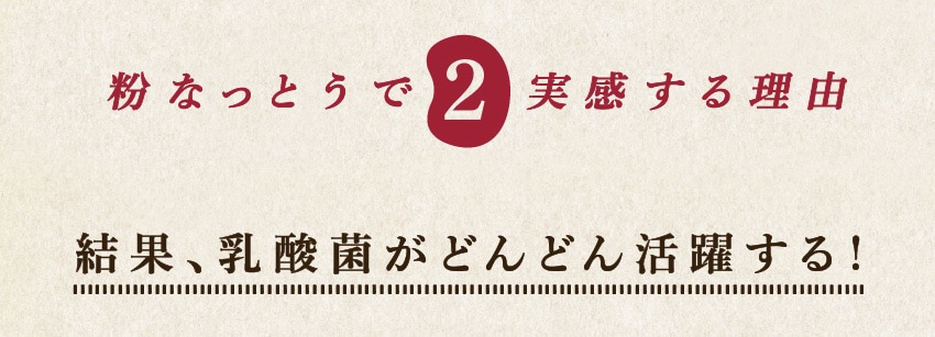 粉なっとうで実感する理由2/結果、乳酸菌がどんどん活躍する！