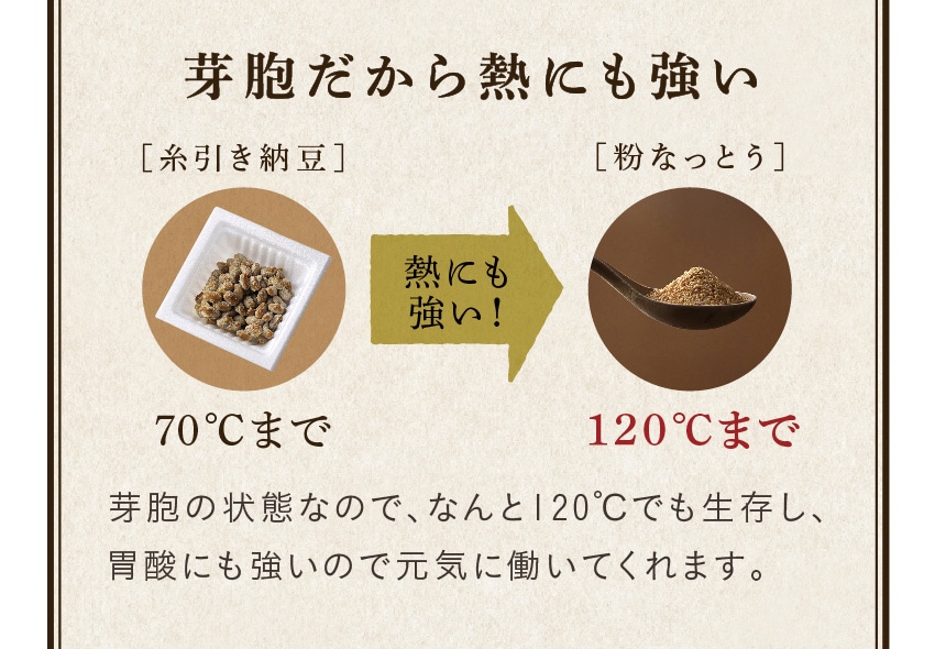 芽胞だから熱にも強い/芽胞の状態なので、なんと120℃でも生存し、胃酸にも強いので元気に働いてくれます。