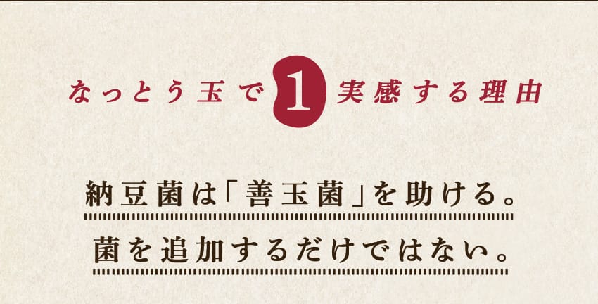 なっとう玉で実感する理由1/納豆菌は「善玉菌」を助ける。菌を追加するだけではない。