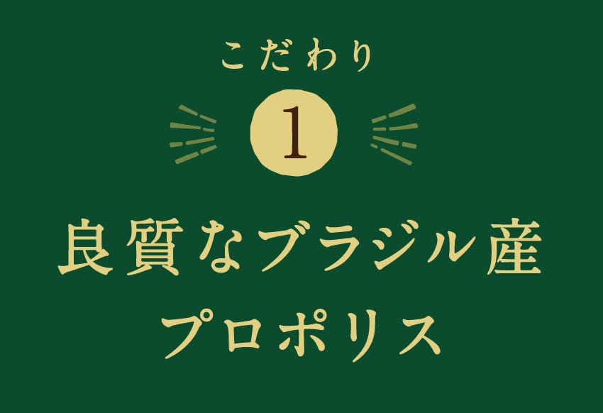 こだわり 1 良質なブラジル産プロポリス