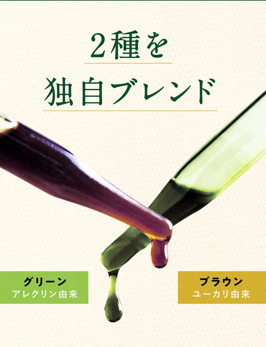 2種を独自ブレンド アレクリン由来のグリーン、ユーカリ由来のブラウンの2種類のプロポリスをブレンドしていることを紹介しています。