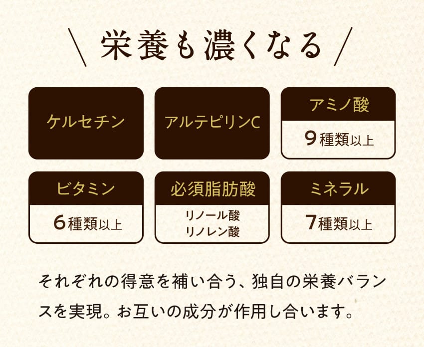 ＼ 栄養も濃くなる ／ ケルセチン、アルテピリンC、アミノ酸9種類以上、ビタミン6種類以上、必須脂肪酸（リノール酸・リノレン酸）、ミネラル7種類以上。それぞれの得意を補い合う、独自の栄養バランスを実現。お互いの成分が作用し合います。