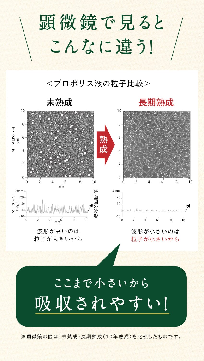 顕微鏡で見るとこんなに違う！プロポリス液の粒子比較。未熟成は粒子が大きく波形が高いが、長期熟成は粒子が小さく波形が平坦。ここまで小さいから吸収されやすい！ ※顕微鏡の図は、未熟成・長期熟成（10年熟成）を比較したものです。