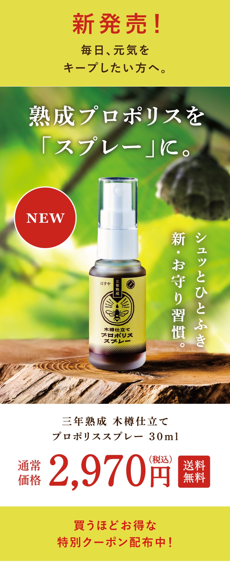 クーポン最大30％OFF