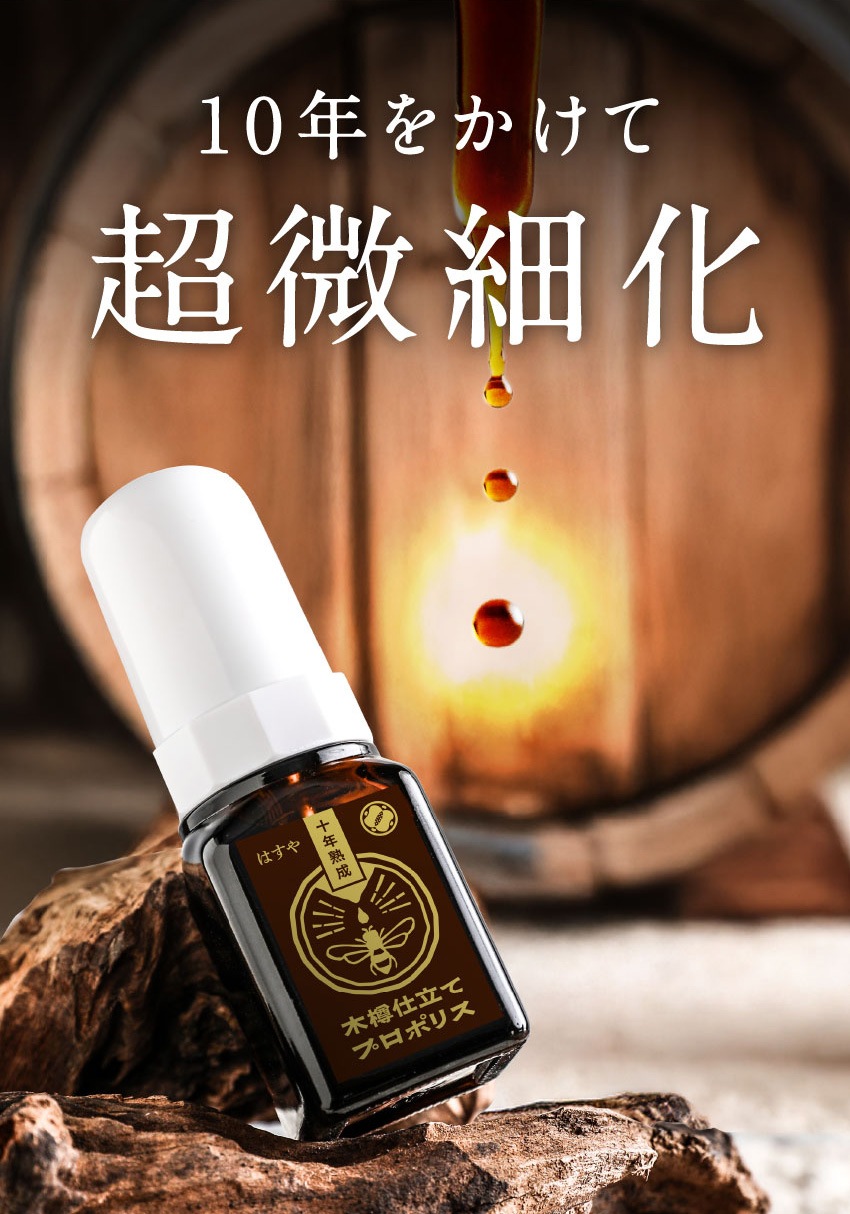 10年をかけて超微細化