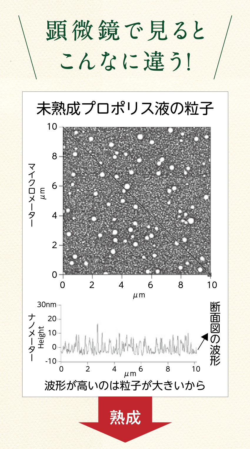 分子を極限まで小さくする。10年もの熟成でプロポリスの分子は微細化され、その小ささは木樽から漏れ出てきてしまうほど。これにより、吸収度合いが高まります。