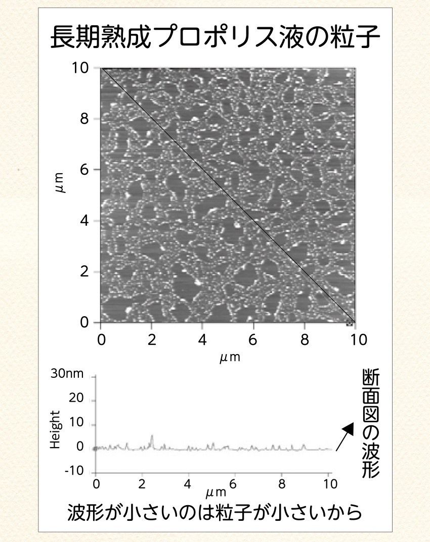 長期熟成プロポリス液の粒子。波形が小さいのは粒子が小さいから（断面図の波形）