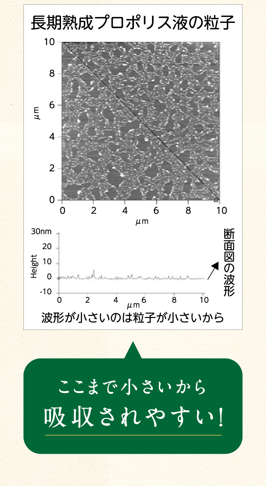長期熟成プロポリス液の粒子の顕微鏡画像と波形グラフ。画像下部に「こうまで小さいから吸収されやすい！」と書かれた緑色の吹き出し。