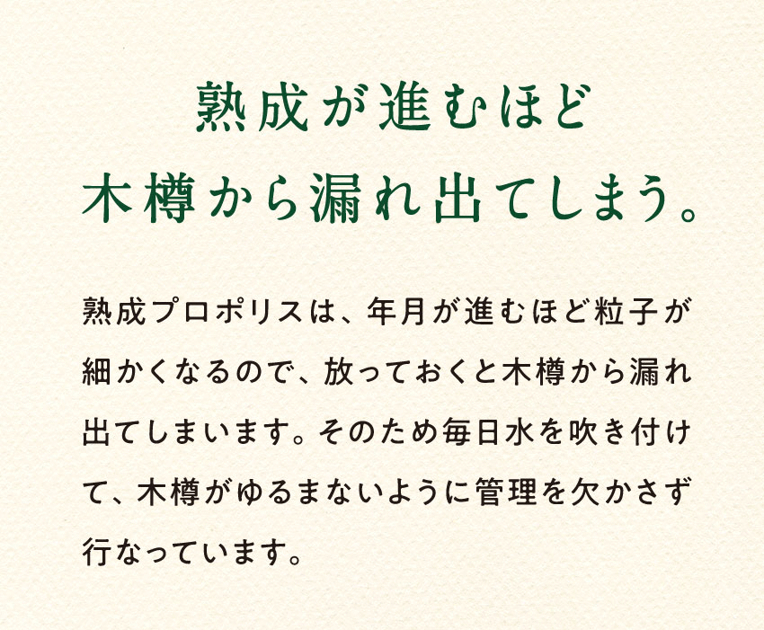 熟成が進むほど木樽から漏れ出てしまう。熟成プロポリスは、年月が進むほど粒子が細かくなるので、放っておくと木樽から漏れ出てしまいます。そのため毎日水を吹き付けて、木樽がゆるまないように管理を欠かさず行なっています。