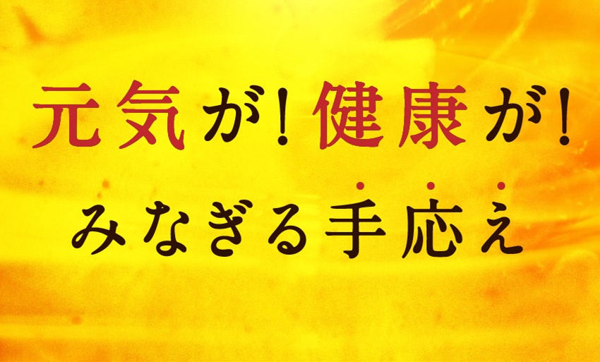 元気が！活力が！みなぎる手応え
