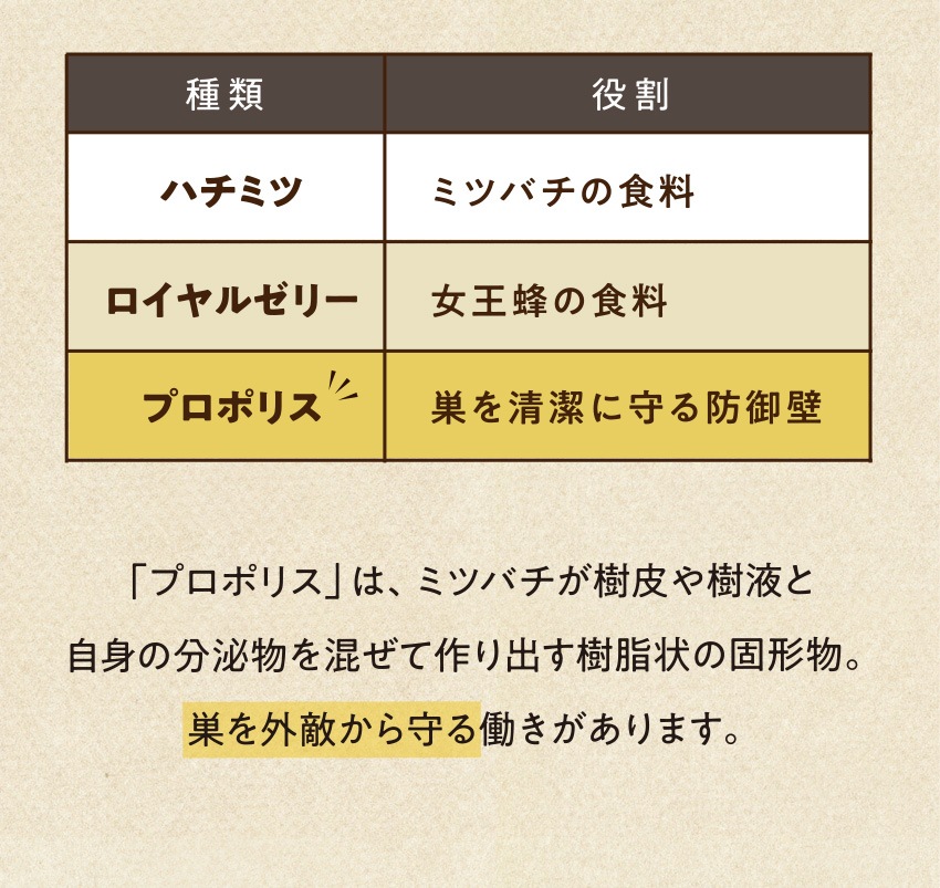 蜂蜜、ロイヤルゼリー、プロポリスの種類と役割を示す表。「プロポリス」は、ミツバチが樹皮や樹液と自身の分泌物を混ぜて作り出す樹脂状の固形物。巣を外敵から守る働きがあります。