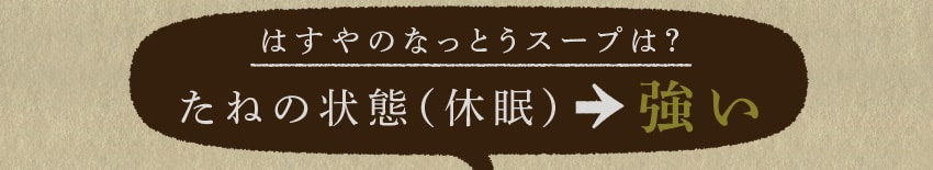 はすやのなっとうスープは？たねの状態（休眠）→強い