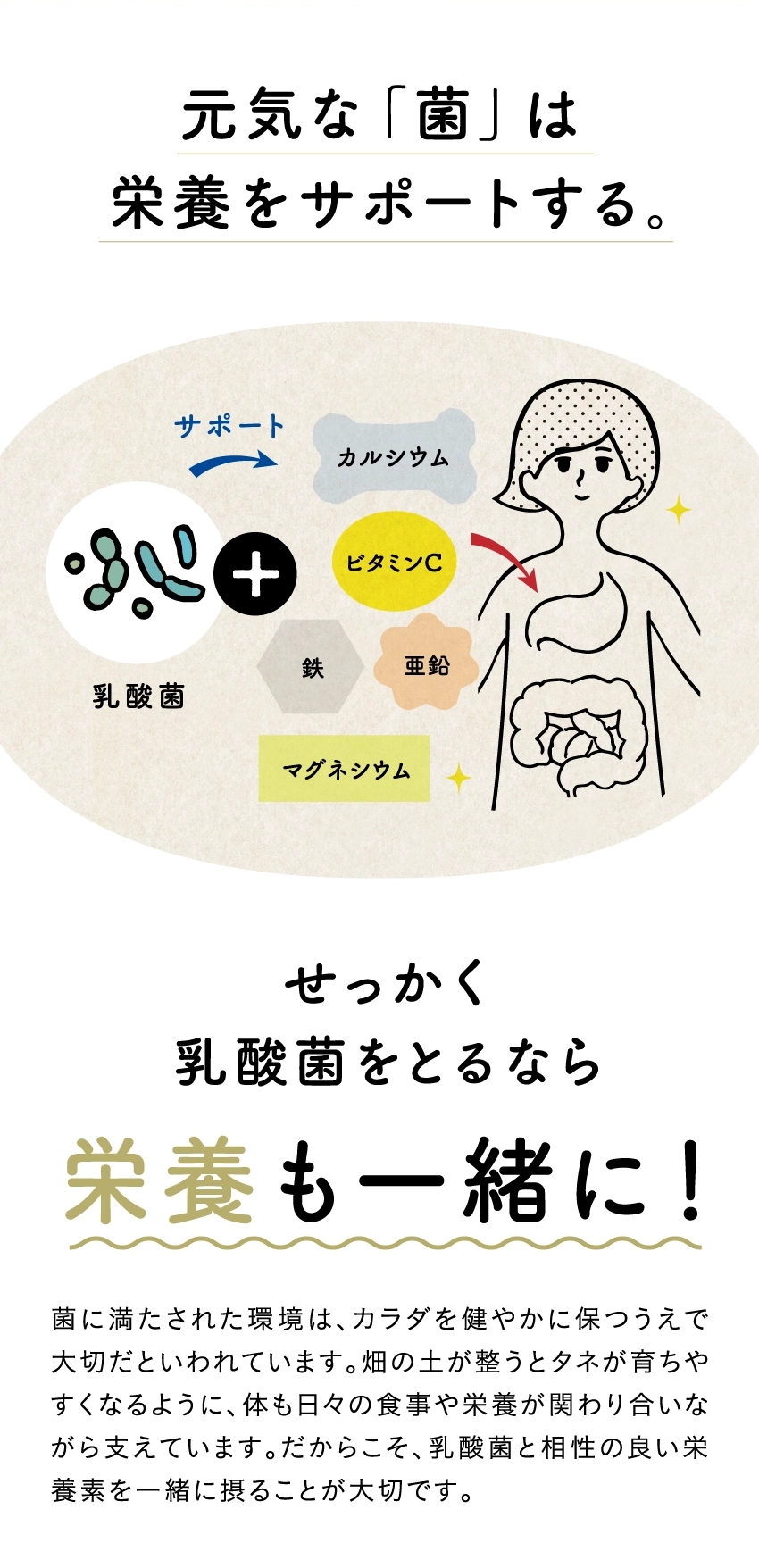 元気な『菌』は栄養をサポートする。せっかく乳酸菌をとるなら栄養も一緒に!菌に満たされた環境は、カラダを健やかに保つうえで大切だといわれています。畑の土が整うとタネが育ちやすくなるように、体も日々の食事や栄養が関わり合いながら支えています。だからこそ、乳酸菌と相性の良い栄養素を一緒に摂ることが大切です。