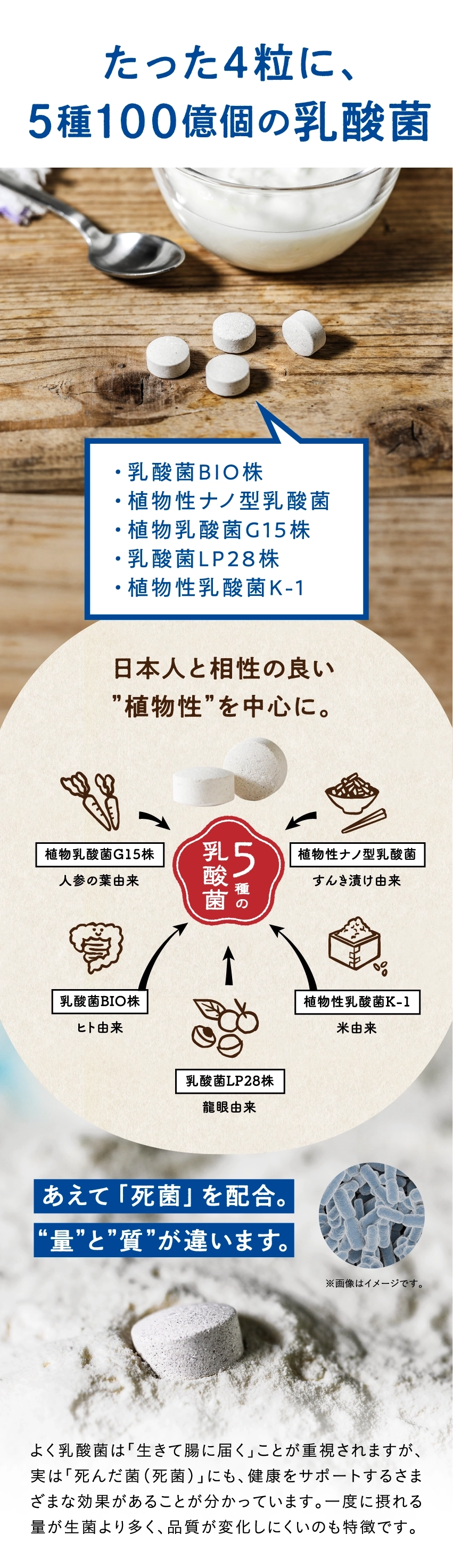 たった4粒に、5種100億個の乳酸菌。乳酸菌BIO株、植物性ナノ型乳酸菌、植物乳酸菌G15株、乳酸菌LP28株、植物性乳酸菌K-1。日本人と相性の良い『植物性』を中心に。5種の乳酸菌。植物乳酸菌G15株(人参の葉由来)、植物性ナノ型乳酸菌(すんき漬り由来)、植物性乳酸菌K-1(米由来)、乳酸菌BIO株(ヒト由来)、乳酸菌LP28株(醸造由来)。あえて『死菌』を配合。『量』と『質』が違います。よく乳酸菌は『生きて腸に届くこと』が重視されますが、実は『死んだ菌(死菌)』にも、健康をサポートするさまざまな効果があることが分かっています。一度に摂れる量が生菌より多く、品質が変化しにくいのも特徴です。