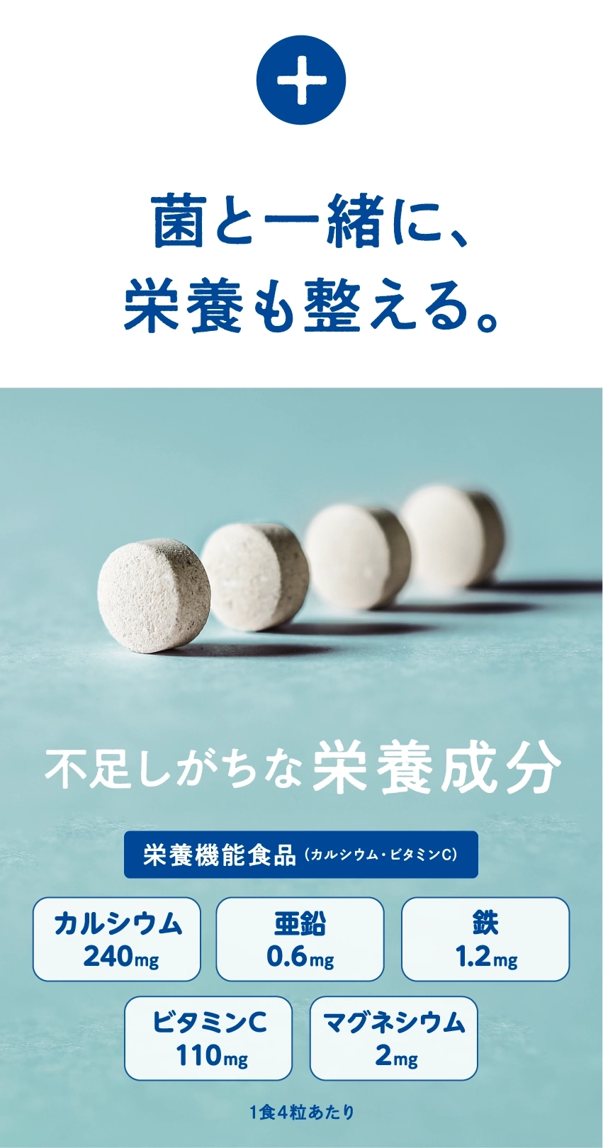 菌と一緒に、栄養も整える。不足しがちな栄養成分。栄養機能食品(カルシウム・ビタミンC)。カルシウム240mg、亜鉛0.6mg、鉄1.2mg、ビタミンC110mg、マグネシウム2mg。1食4粒あたり。