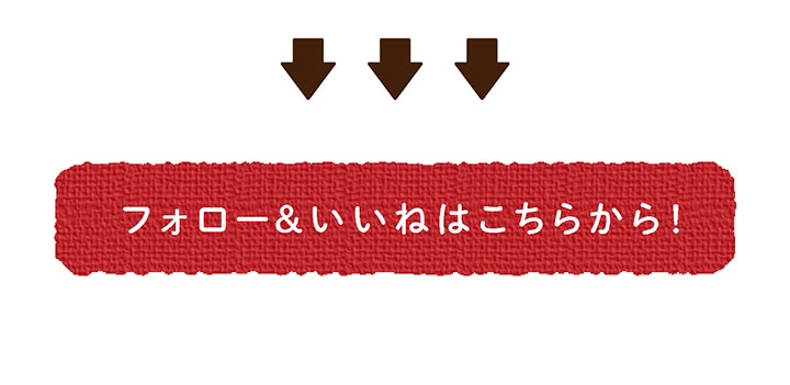 特典4:プレゼントが当たる！Instagramキャンペーン