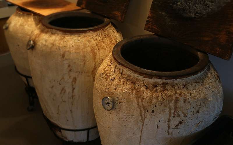 夢座家さんの話