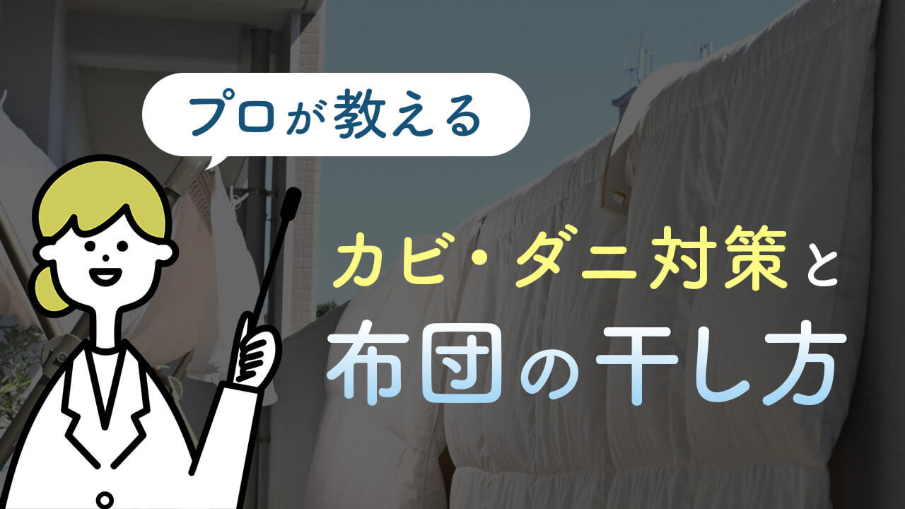 プロが教える布団の干し方と布団のカビ・ダニ対策