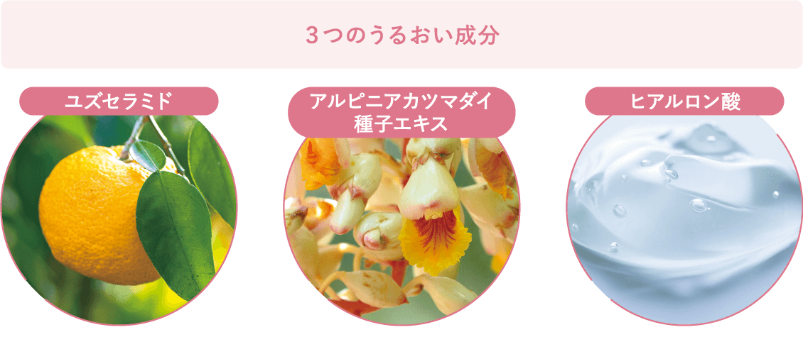3つのうるおい成分 ユズセラミド アルピニアカツマダイ種子エキス ヒアルロン酸