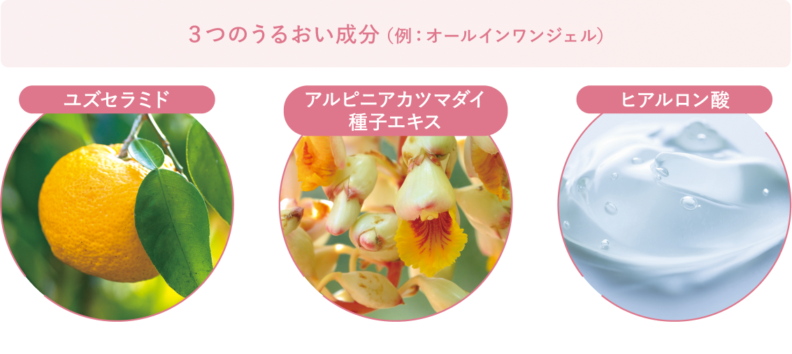 3つのうるおい成分 ユズセラミド アルピニアカツマダイ種子エキス ヒアルロン酸