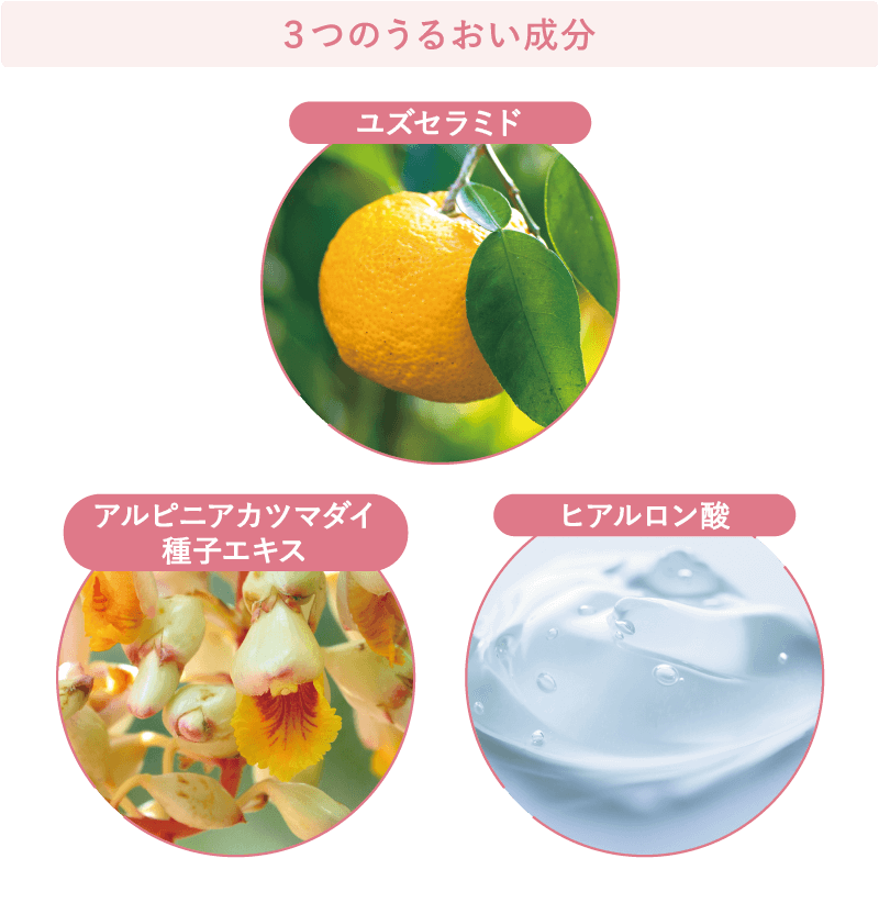 3つのうるおい成分 ユズセラミド アルピニアカツマダイ種子エキス ヒアルロン酸