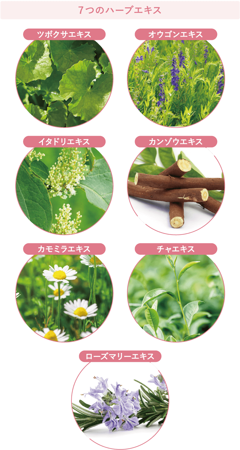 ７つのハーブエキス ツボクサエキス オウゴンエキス イタドリエキス カンゾウエキス カモミラエキス チャエキス ローズマリーエキス