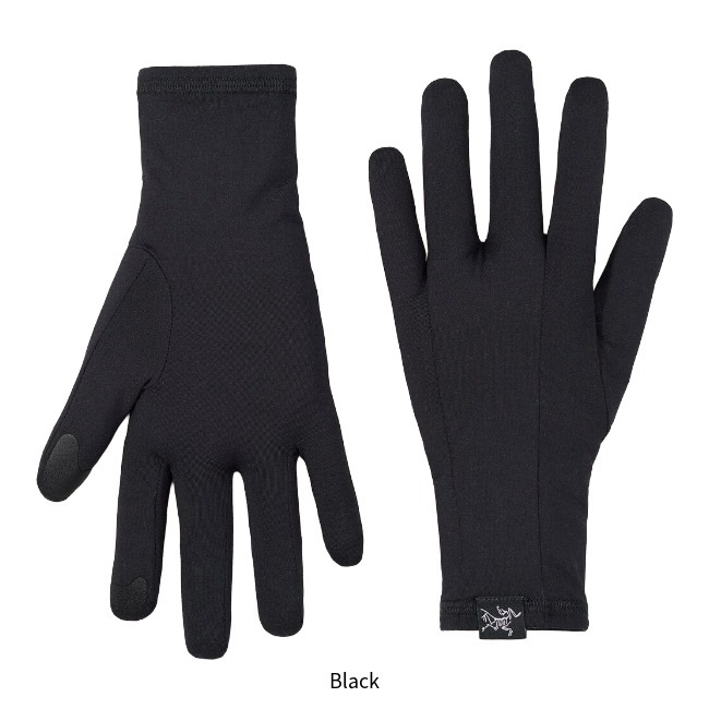 アークテリクス ARC'TERYX ロー グローブ ユニセックス Rho Glove