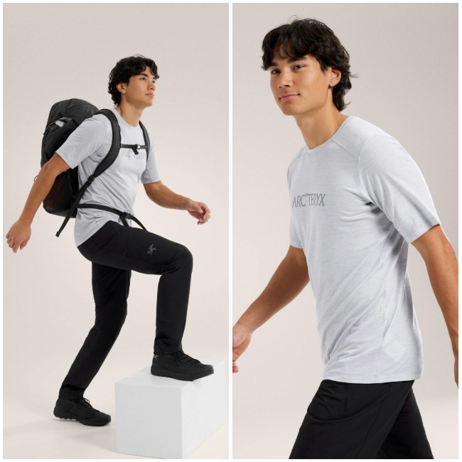 アークテリクス ARC'TERYX イオニア メリノウール アークワード